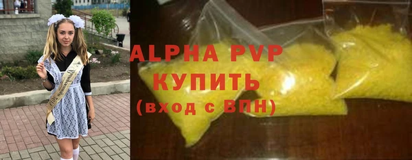a pvp Пересвет