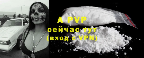 a pvp Пересвет
