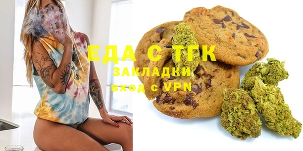индика Ужур