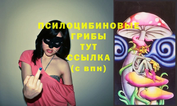 mix Пестово