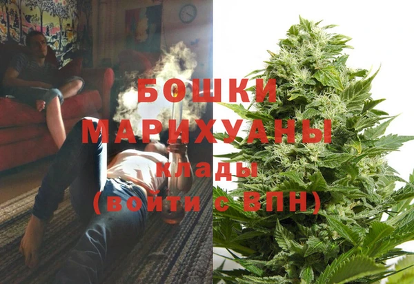 индика Ужур
